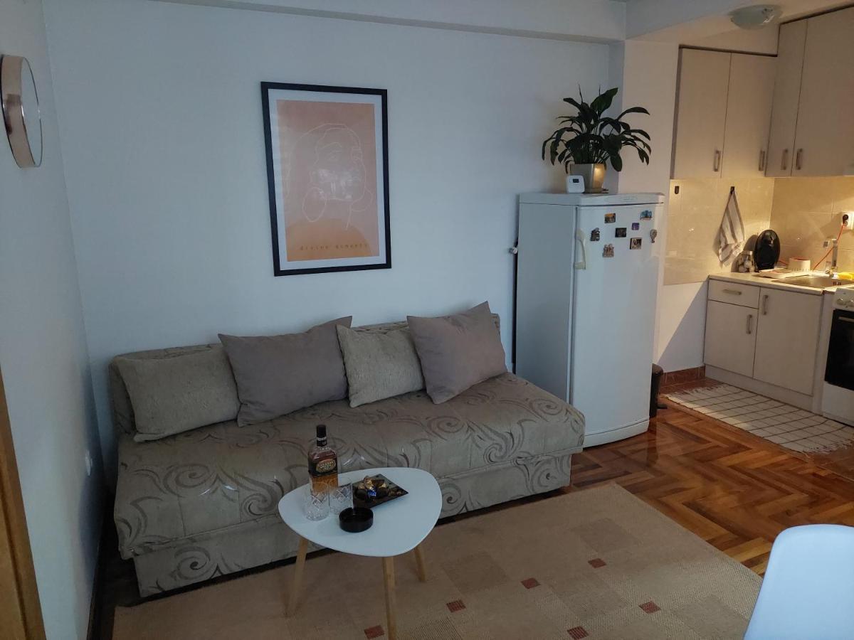 Apartman Dordevic كرالييفو المظهر الخارجي الصورة